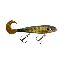 Load image into Gallery viewer, Softail